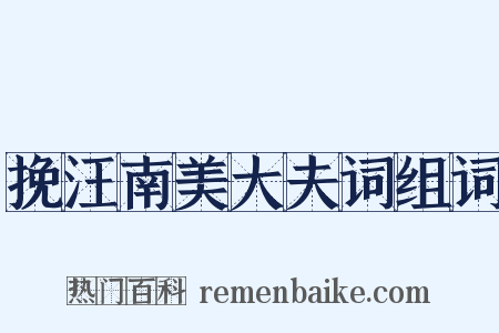 挽汪南美大夫词组词是什么意思的图片